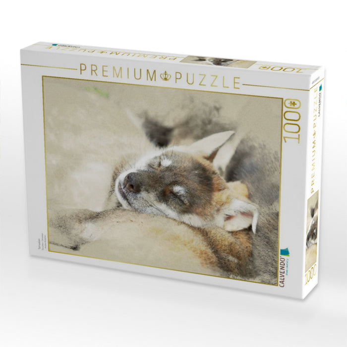 Tamaskan - CALVENDO Foto-Puzzle'