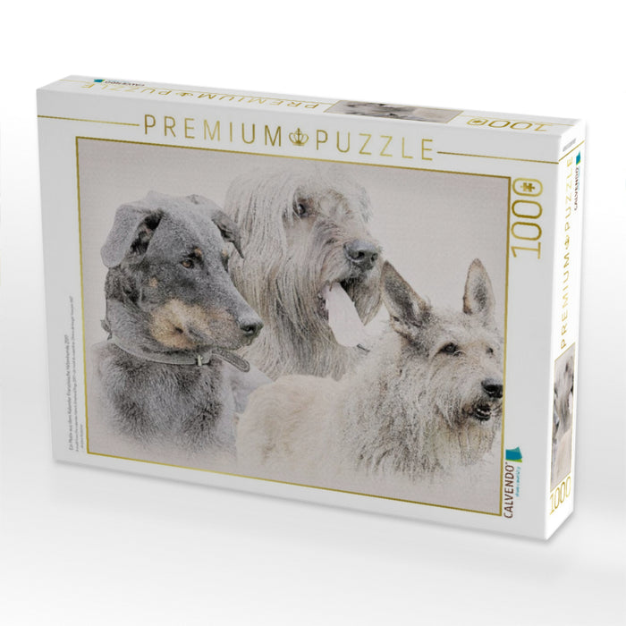 Ein Motiv aus dem Kalender Französische Hirtenhunde 2017 - CALVENDO Foto-Puzzle'