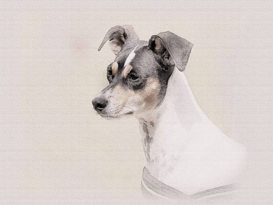 Ein Motiv aus dem Kalender Bodeguero Andaluz 2017 - CALVENDO Foto-Puzzle'