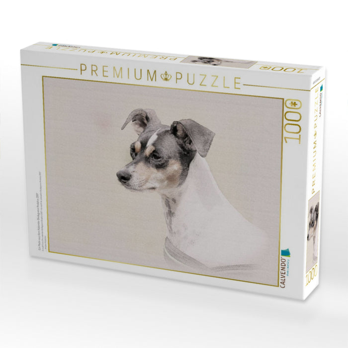 Ein Motiv aus dem Kalender Bodeguero Andaluz 2017 - CALVENDO Foto-Puzzle'