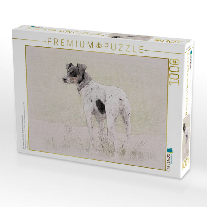 Ein Motiv aus dem Kalender Bodeguero Andaluz 2017 - CALVENDO Foto-Puzzle'