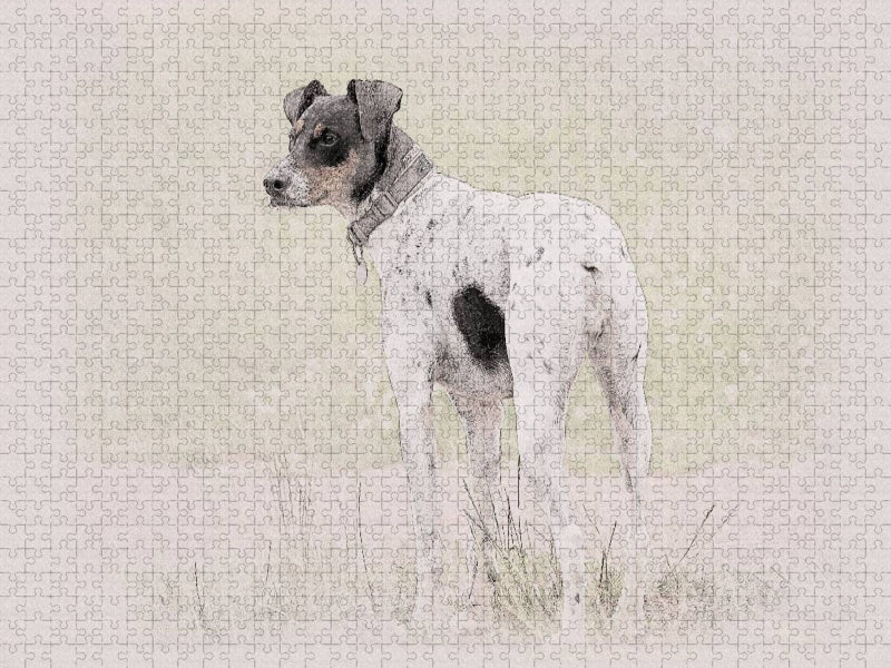 Ein Motiv aus dem Kalender Bodeguero Andaluz 2017 - CALVENDO Foto-Puzzle'
