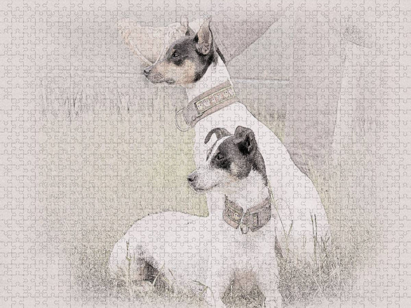 Ein Motiv aus dem Kalender Bodeguero Andaluz 2017 - CALVENDO Foto-Puzzle'