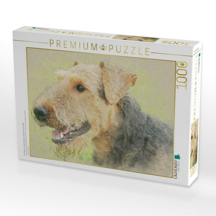 Ein Motiv aus dem Kalender Airedale Terrier 2017 - CALVENDO Foto-Puzzle'