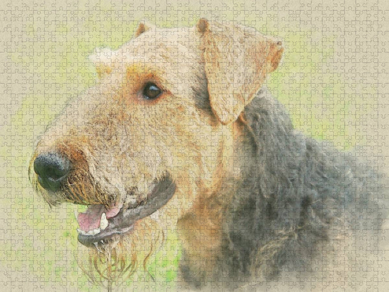 Ein Motiv aus dem Kalender Airedale Terrier 2017 - CALVENDO Foto-Puzzle'