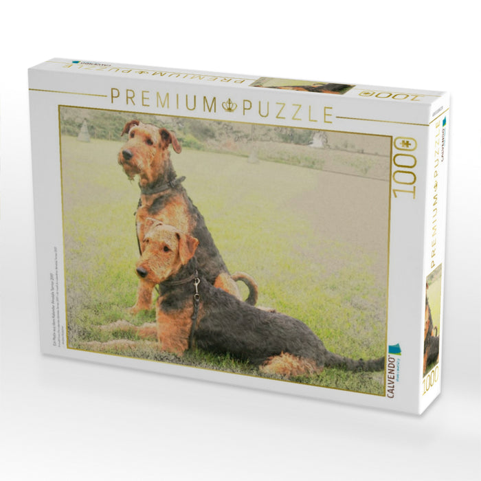 Ein Motiv aus dem Kalender Airedale Terrier 2017 - CALVENDO Foto-Puzzle'