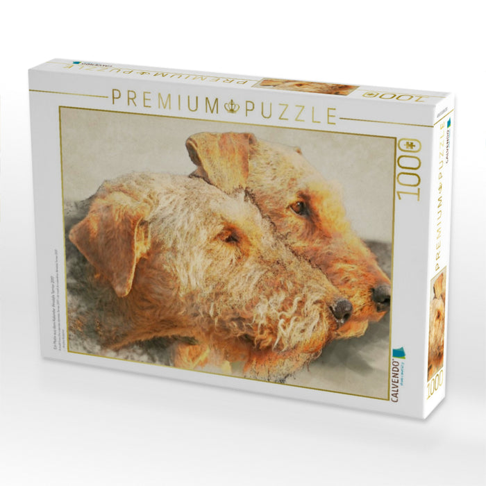Ein Motiv aus dem Kalender Airedale Terrier 2017 - CALVENDO Foto-Puzzle'