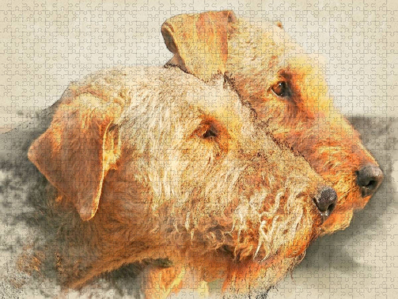 Ein Motiv aus dem Kalender Airedale Terrier 2017 - CALVENDO Foto-Puzzle'