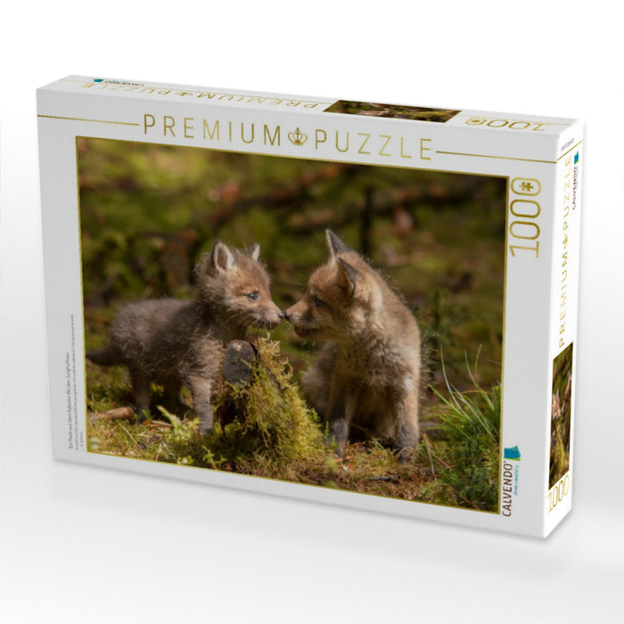 Ein Motiv aus dem Kalender Bei den Jungfüchsen - CALVENDO Foto-Puzzle'