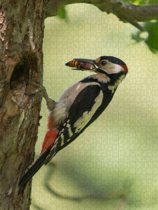 Ein Motiv aus dem Kalender Besucher im Garten - Vögel - CALVENDO Foto-Puzzle'