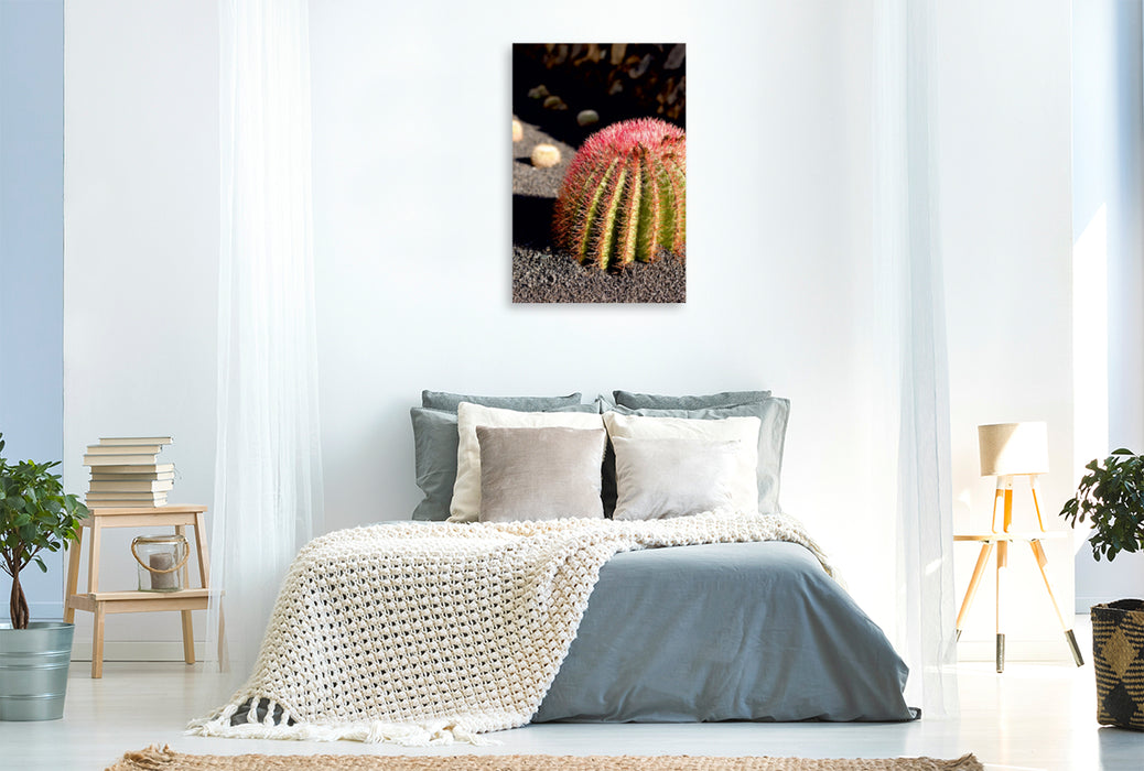 Premium Textil-Leinwand Premium Textil-Leinwand 80 cm x 120 cm  hoch Sonnenhungriger Kaktus mit hübschen roten Stacheln