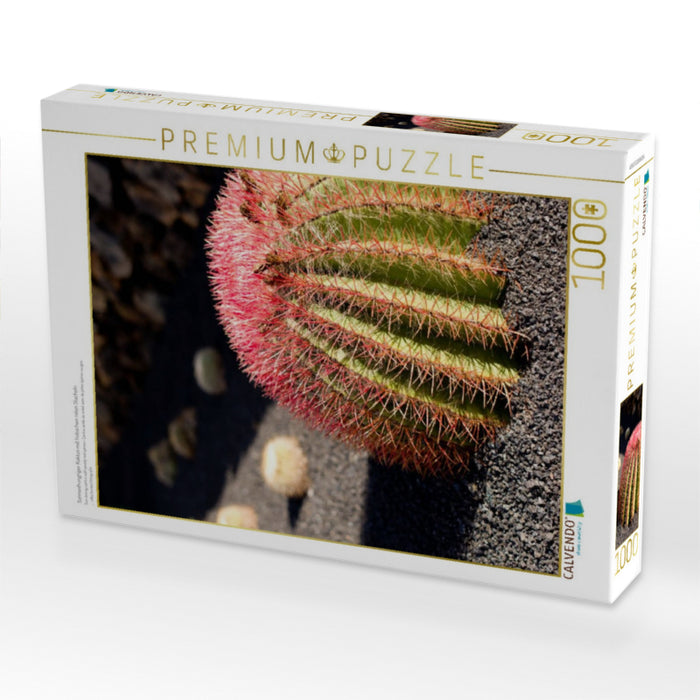 Sonnenhungriger Kaktus mit hübschen roten Stacheln - CALVENDO Foto-Puzzle'
