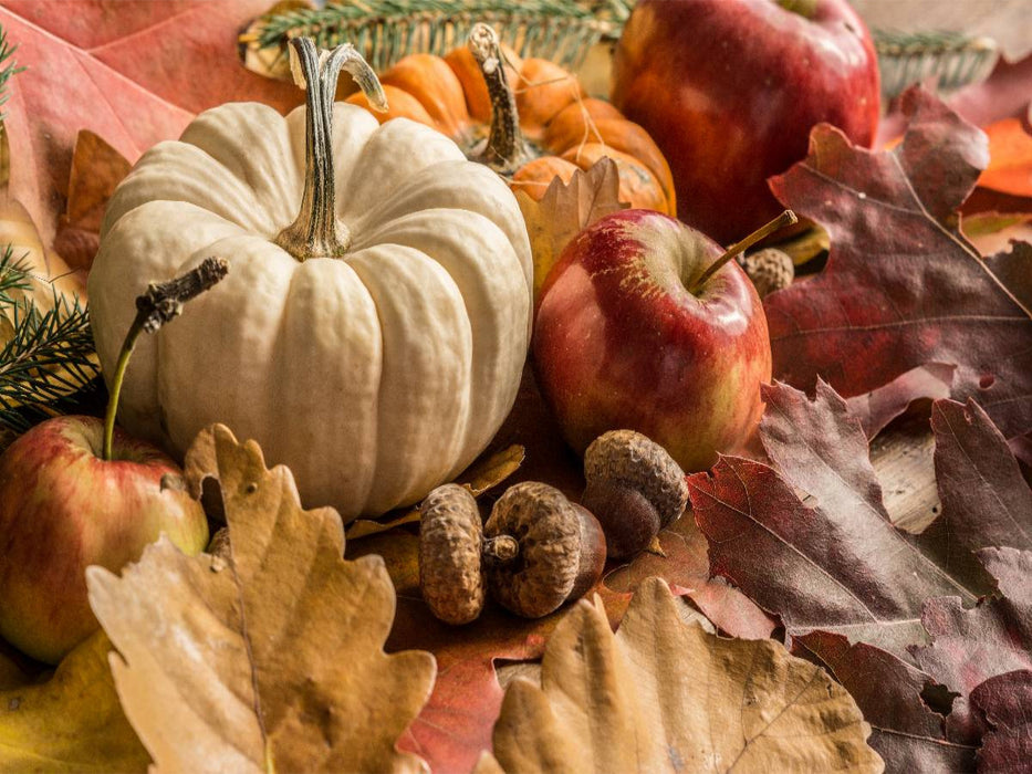 Kürbis, Äpfel, Eicheln und Herbstblätter - CALVENDO Foto-Puzzle'