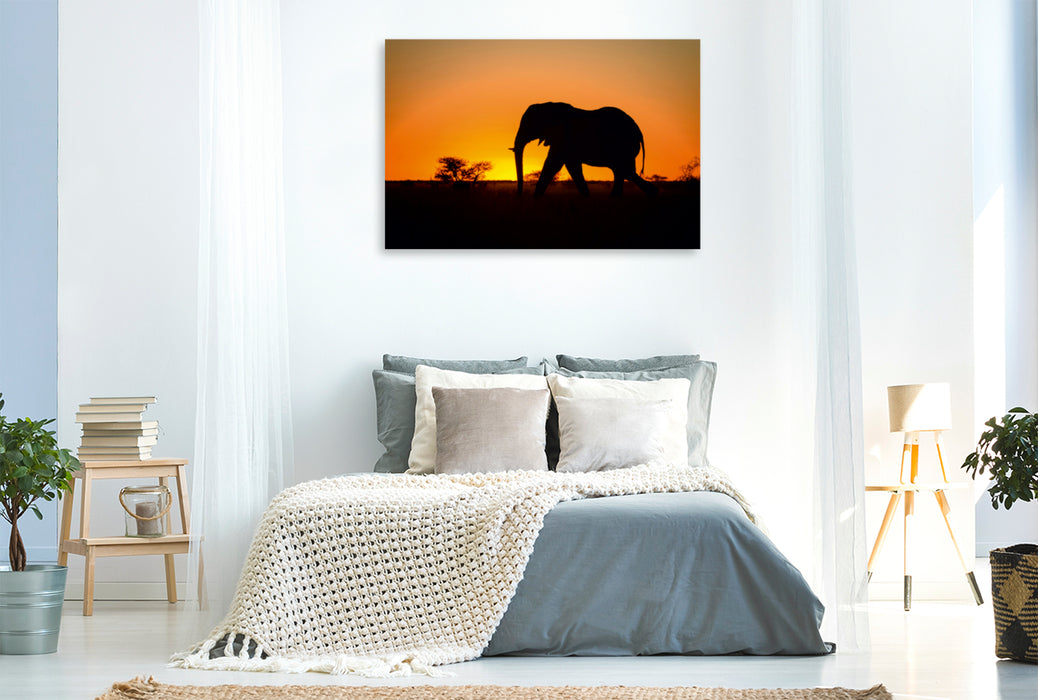 Premium Textil-Leinwand Premium Textil-Leinwand 120 cm x 80 cm quer Elefant