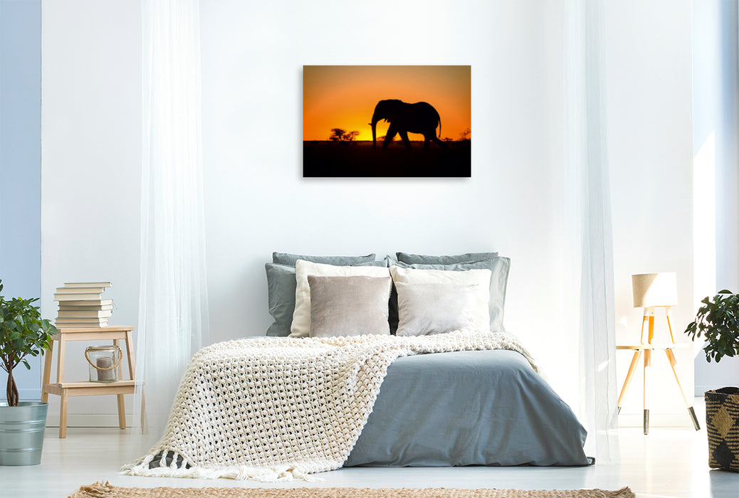 Premium Textil-Leinwand Premium Textil-Leinwand 120 cm x 80 cm quer Elefant