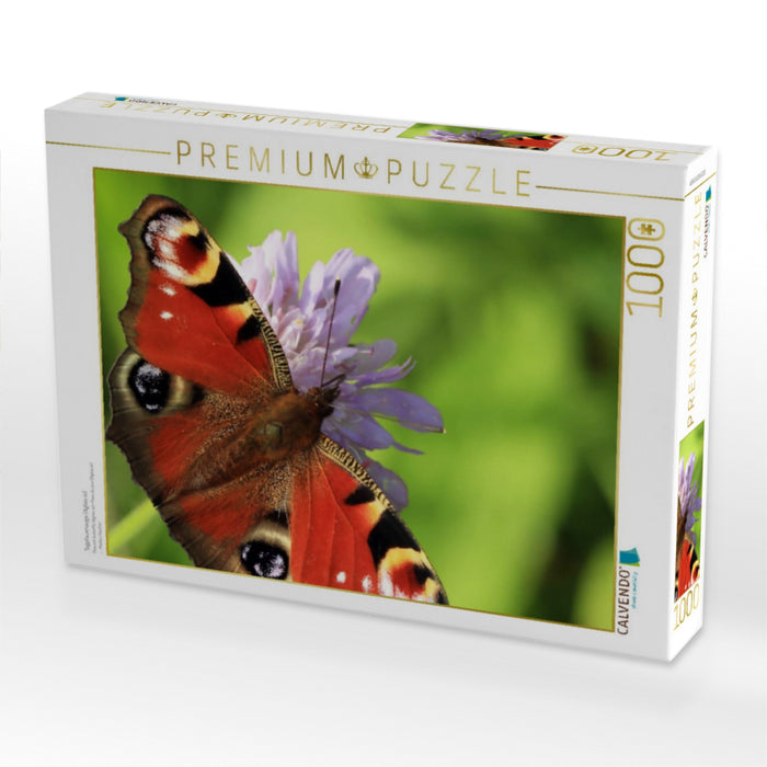 Tagpfauenauge (Aglais io) - CALVENDO Foto-Puzzle'