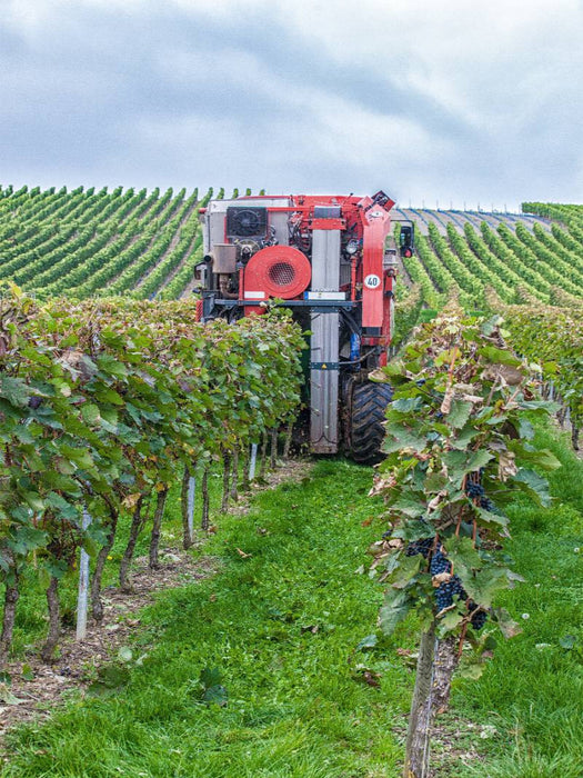 Vollernter bei der Weinlese - CALVENDO Foto-Puzzle'