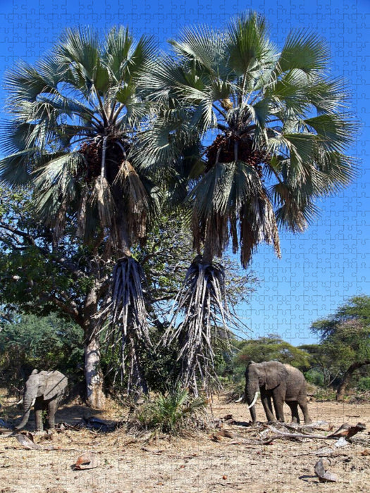 Elefanten unter Palmen, Afrika - CALVENDO Foto-Puzzle'