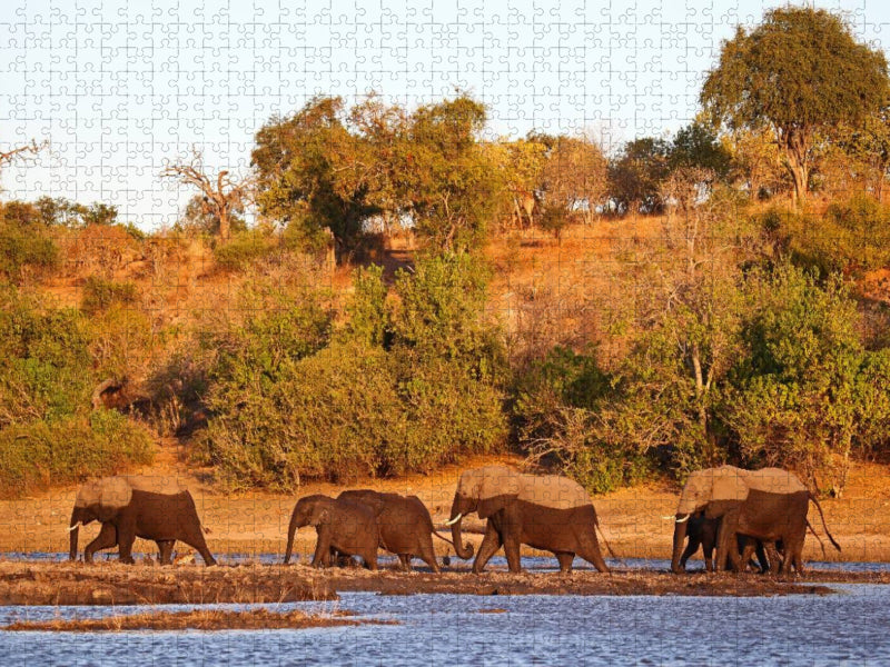 Elefanten am Fluss, Afrika - CALVENDO Foto-Puzzle'
