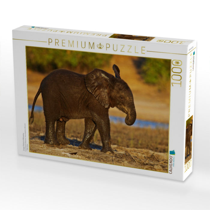 Junger Elefant in Botswana - CALVENDO Foto-Puzzle'