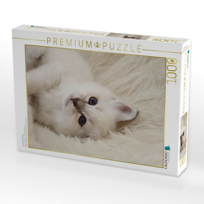 Liprima's Holly Hope - CALVENDO Foto-Puzzle'