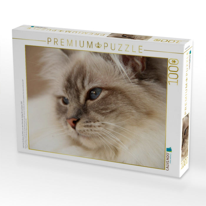Liprima's Emiliana, Ein Motiv aus dem Kalender Heilige Birma Katzen 2017 - CALVENDO Foto-Puzzle'