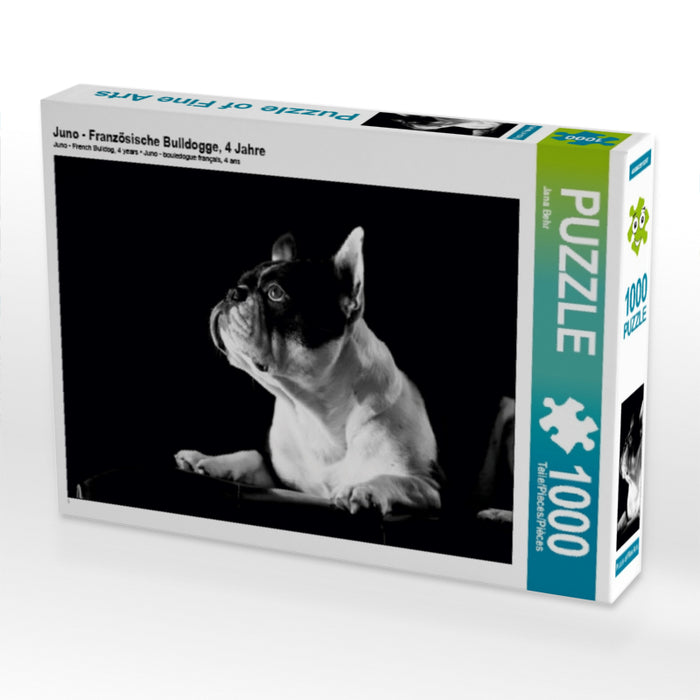 Juno - Französische Bulldogge, 4 Jahre 1000 Teile Puzzle quer - CALVENDO Foto-Puzzle'