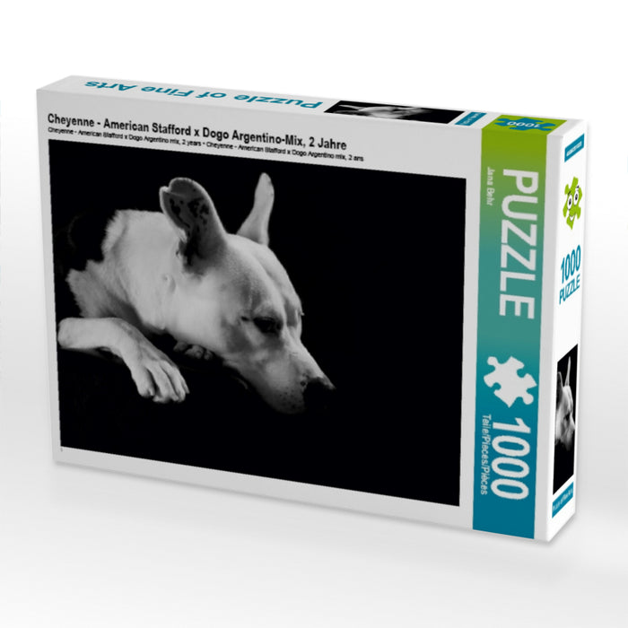 Cheyenne - American Stafford x Dogo Argentino-Mix, 2 Jahre 1000 Teile Puzzle quer - CALVENDO Foto-Puzzle'