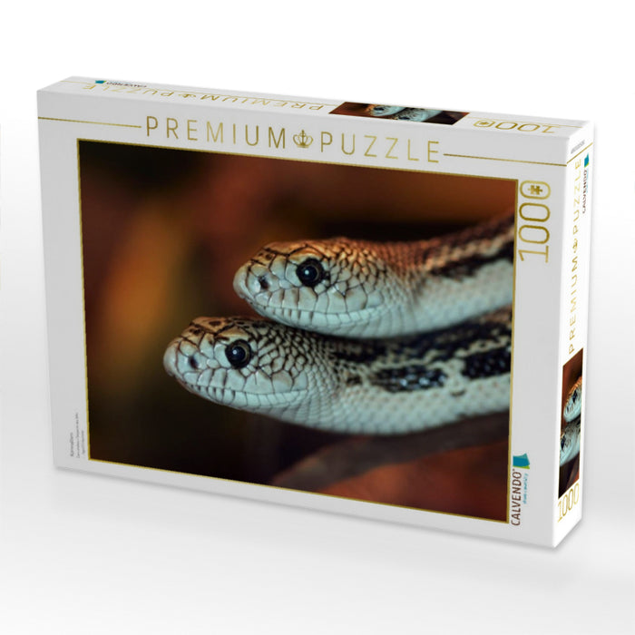 Kornnattern - CALVENDO Foto-Puzzle'