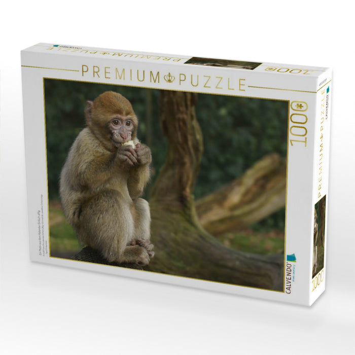 Ein Motiv aus dem Kalender Einfach affig - CALVENDO Foto-Puzzle'