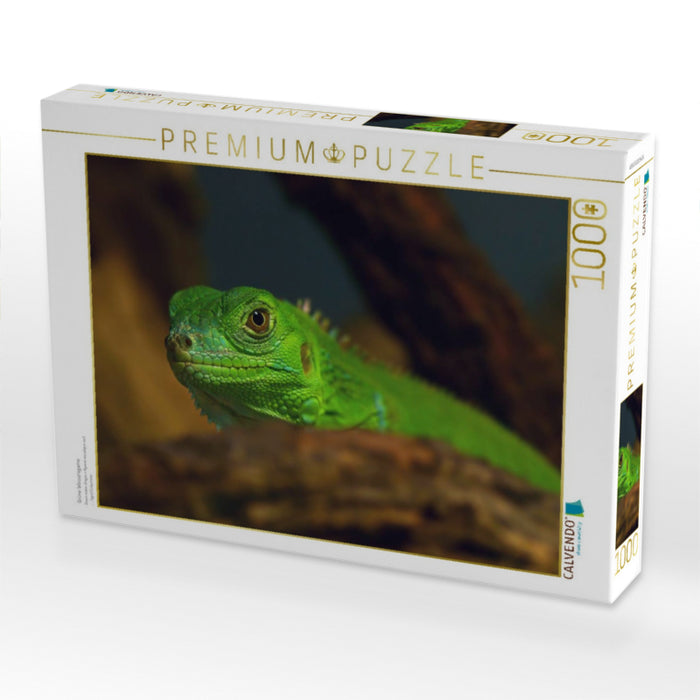 Grüne Wasseragame - CALVENDO Foto-Puzzle'