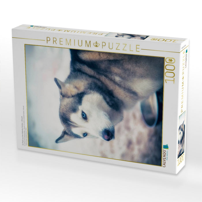 Ein Motiv aus dem Kalender Huskies - Artwork - CALVENDO Foto-Puzzle'