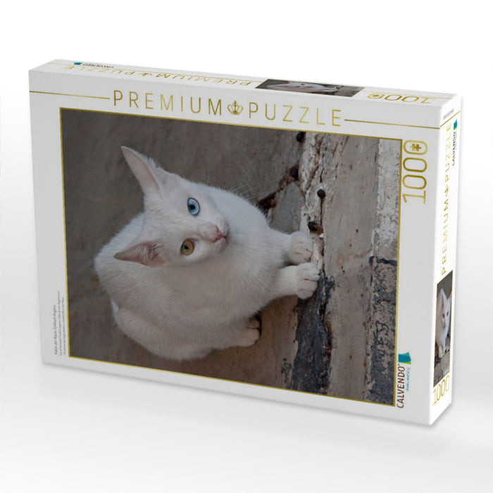 Katze der Rasse Türkisch Angora - CALVENDO Foto-Puzzle'