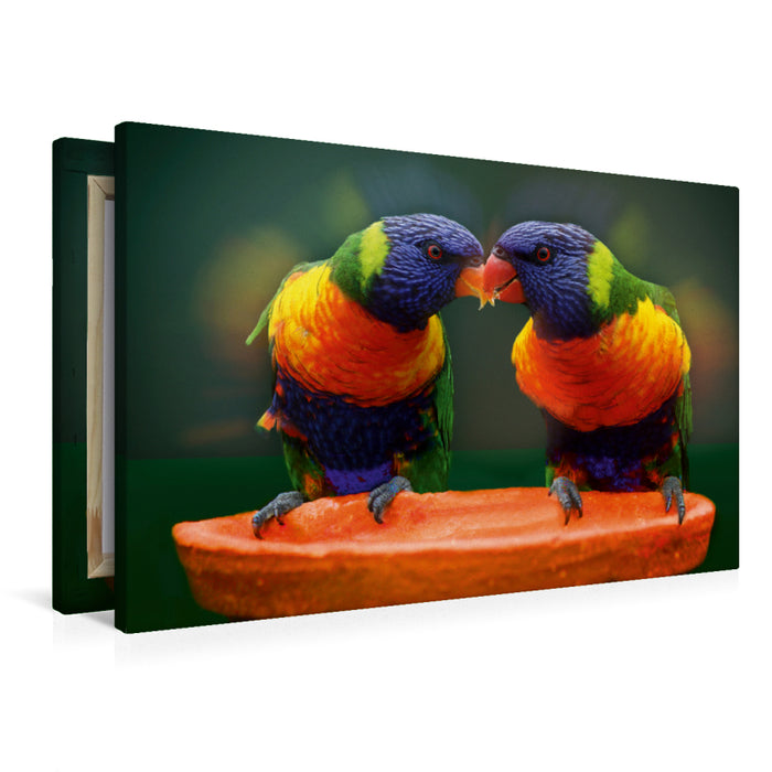 Premium Textil-Leinwand Lori Papageien