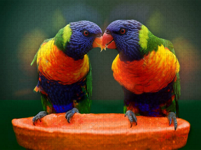 Lori Papageien - CALVENDO Foto-Puzzle'