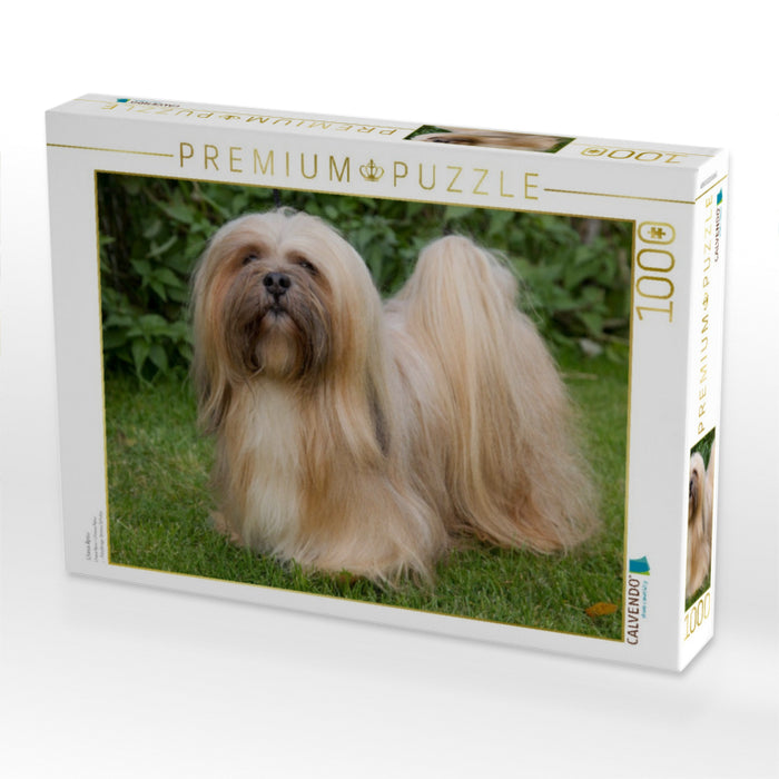 Lhasa Apsu - CALVENDO Foto-Puzzle'