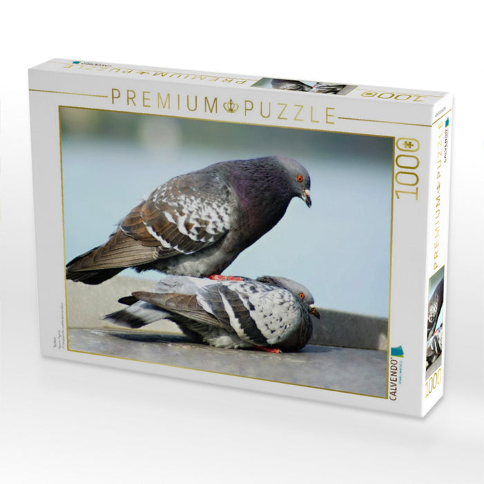 Tauben - CALVENDO Foto-Puzzle'