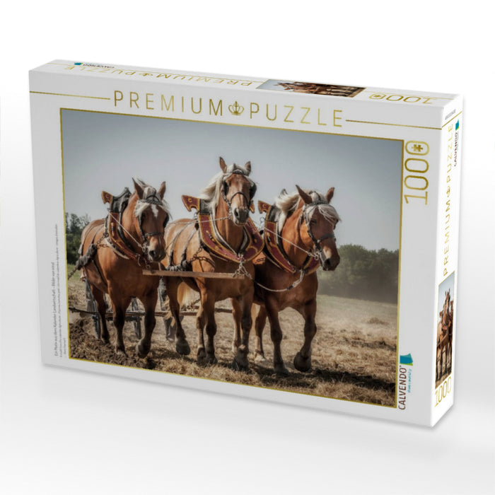 Ein Motiv aus dem Kalender Landwirtschaft - Bilder von einst - CALVENDO Foto-Puzzle'