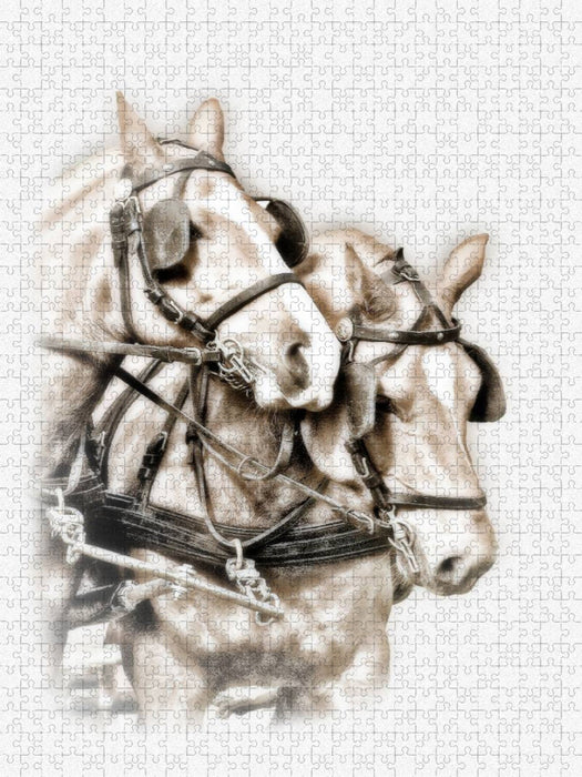 Equestrian Kunst - CALVENDO Foto-Puzzle'