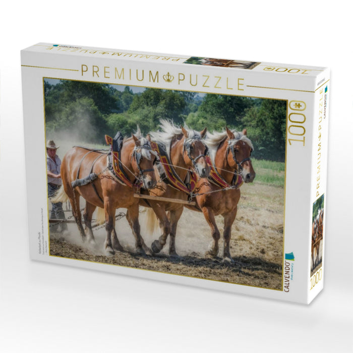 Feldarbeit zu Pferde - CALVENDO Foto-Puzzle'