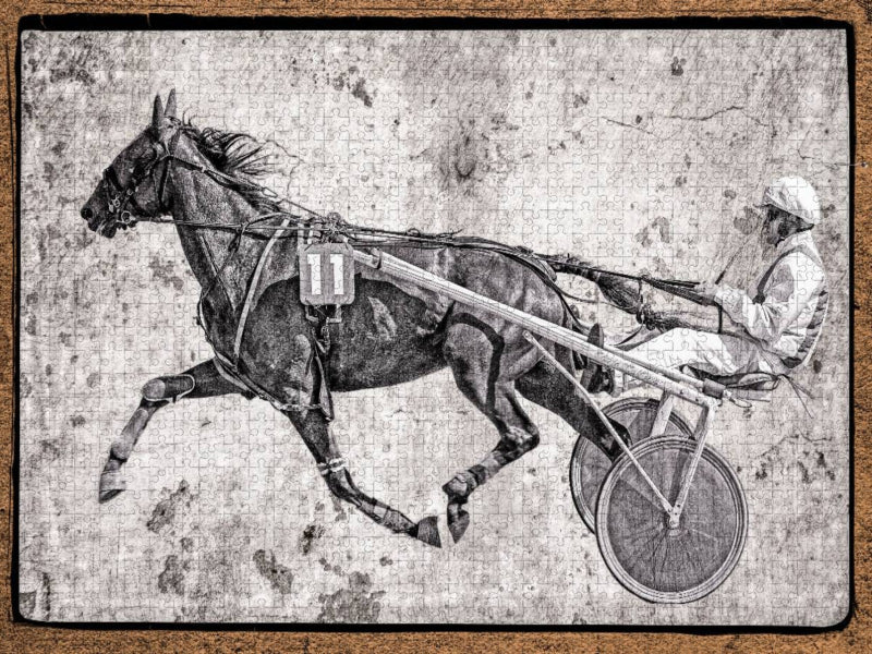Sulky - CALVENDO Foto-Puzzle'