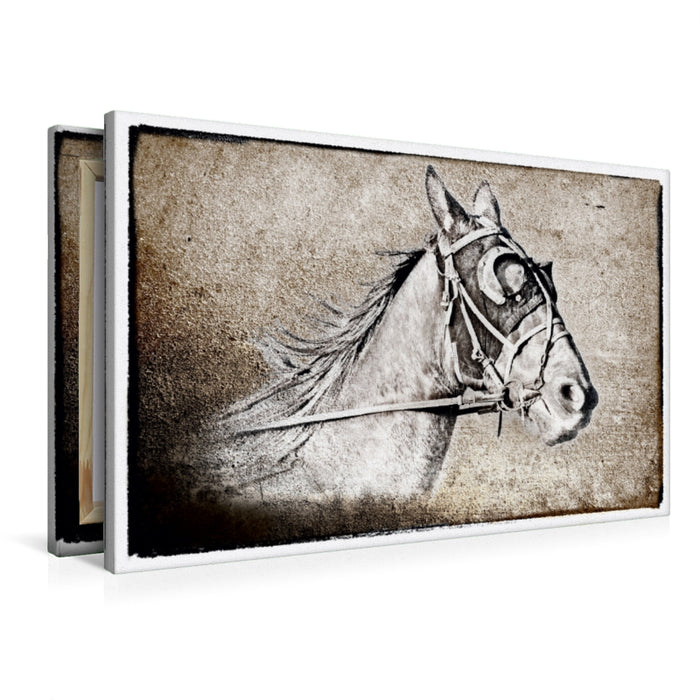 Premium Textil-Leinwand Der Traber