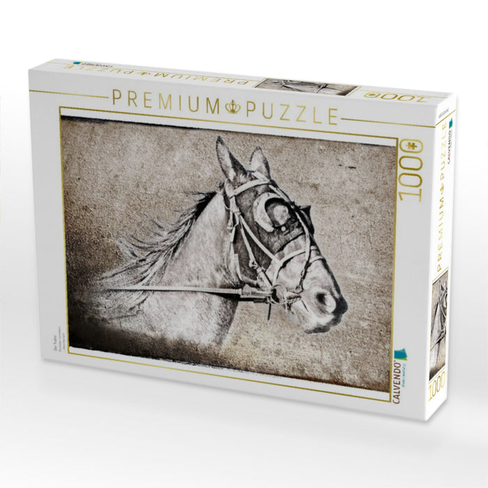 Der Traber - CALVENDO Foto-Puzzle'