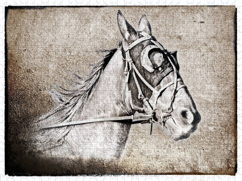 Der Traber - CALVENDO Foto-Puzzle'