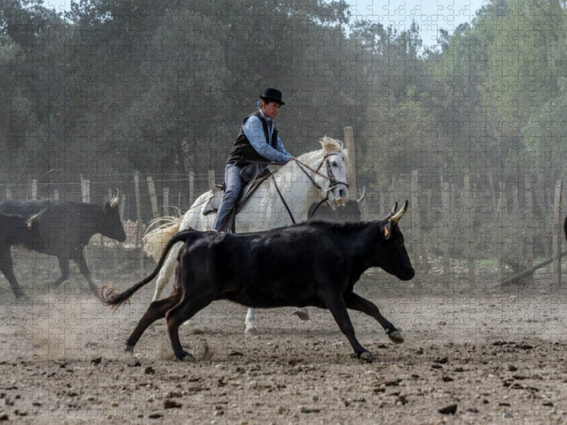Aussortieren der Stiere - CALVENDO Foto-Puzzle'