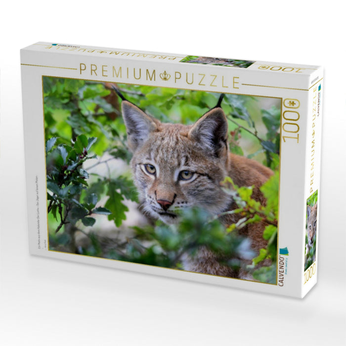 Ein Motiv aus dem Kalender Der Luchs - Der Jäger auf leisen Pfoten - CALVENDO Foto-Puzzle'