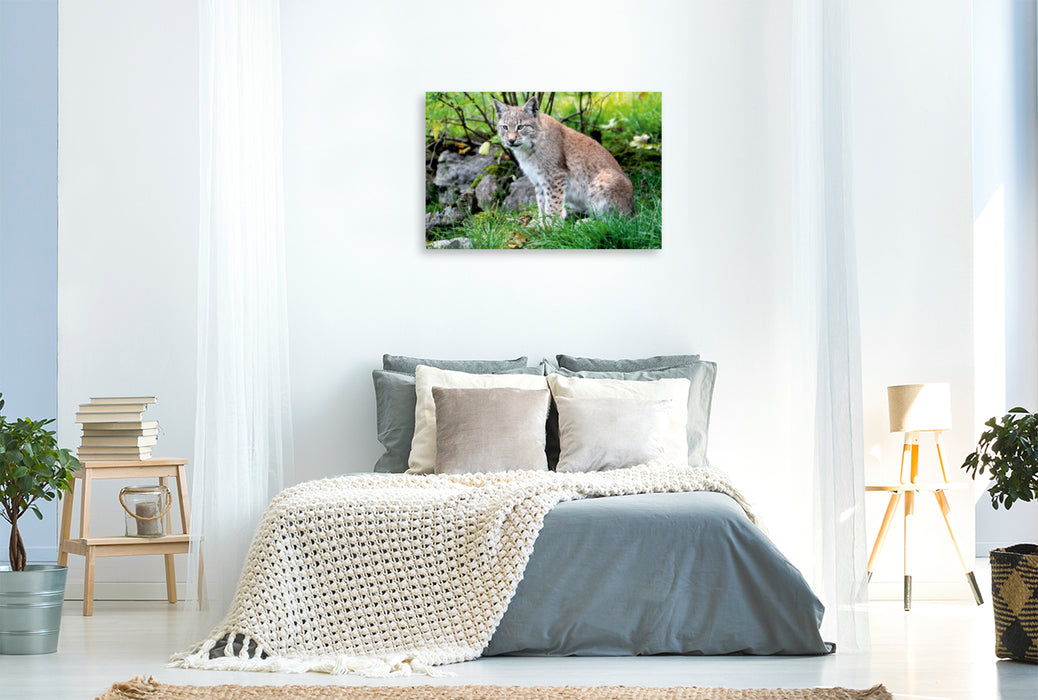 Premium Textil-Leinwand Premium Textil-Leinwand 120 cm x 80 cm quer Ein Motiv aus dem Kalender Der Luchs - Der Jäger auf leisen Pfoten