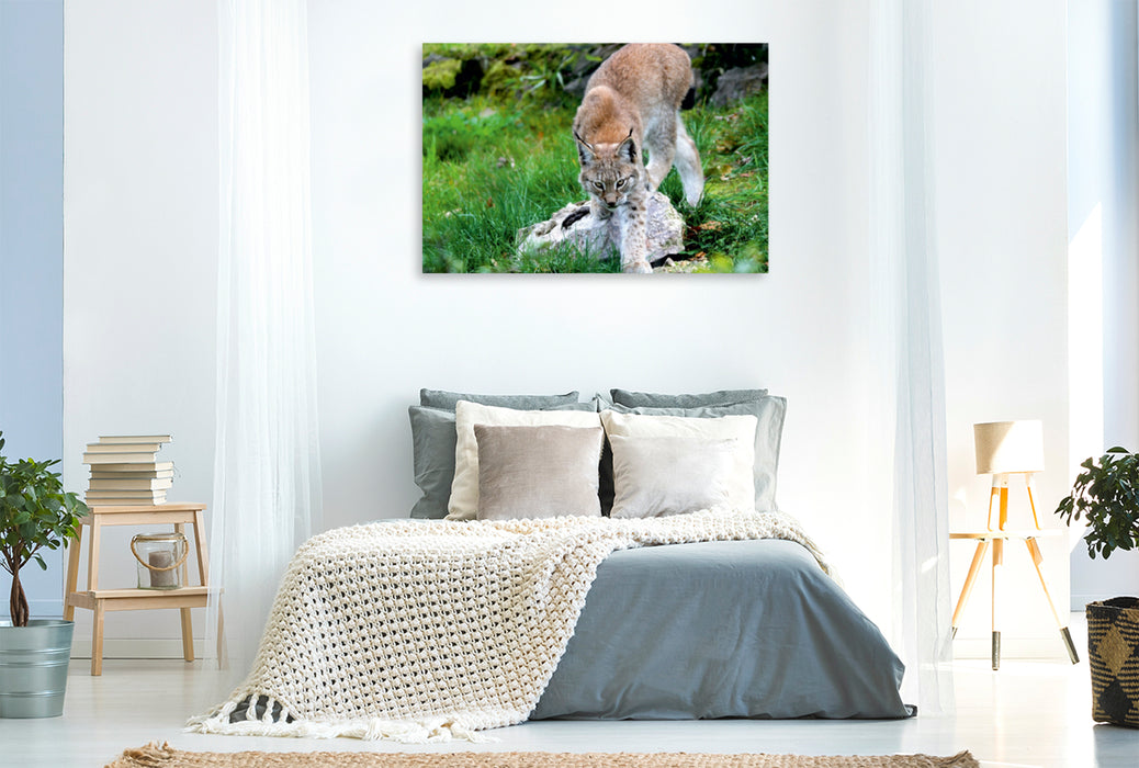 Toile textile haut de gamme Toile textile haut de gamme 120 cm x 80 cm de diamètre Un motif du calendrier Le Lynx - Le chasseur aux pattes tranquilles 