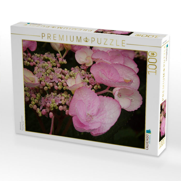 Tellerhortensie - CALVENDO Foto-Puzzle'