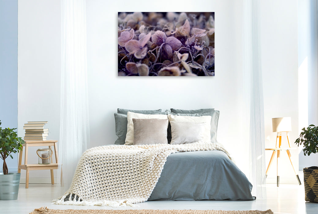 Premium Textil-Leinwand Premium Textil-Leinwand 120 cm x 80 cm quer Frost auf getrockneten Blüten